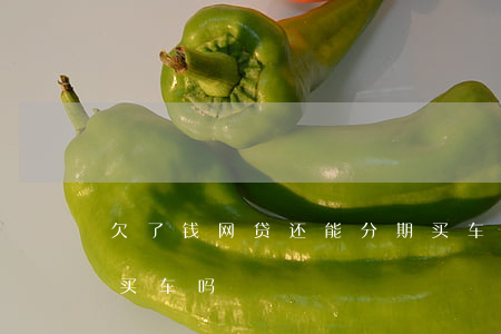 欠了钱网贷还能分期买车吗(有欠款还能分期买车吗)