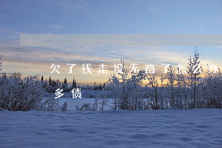 欠了钱走投无路了怎么办-走投无路了欠太多债