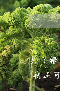 欠了银行信用卡还能办卡吗 欠银行信用卡的钱还可以办卡吗