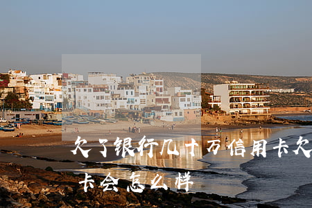 欠了银行几十万信用卡 欠了银行几十万信用卡会怎么样