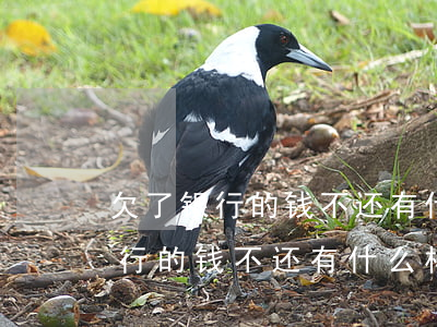 欠了银行的钱不还有什么样的后果-欠了银行的钱不还有什么样的后果自建房会执行吗