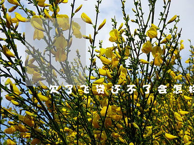 欠了飞贷还不了会怎样(飞贷还下款吗)