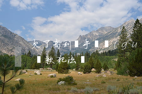 欠了高利貸手機關(guān)機(手機高利貸款犯法嗎)
