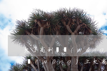 欠了高利貸網(wǎng)貸還不上怎么辦(網(wǎng)上欠高利貸還不上怎么辦)