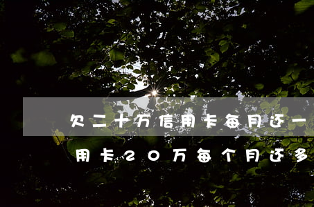 欠二十万信用卡每月还一千行么-如果欠信用卡20万每个月还多少