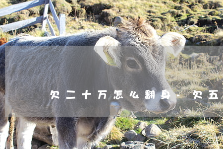 欠二十万怎么翻身-欠五十万怎么翻身