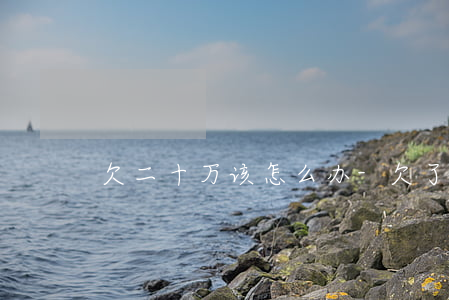 欠二十万该怎么办-欠了二十万怎么办