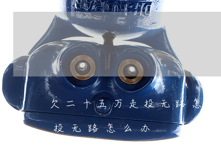 欠二十五万走投无路 怎么办-欠二十五万走投无路怎么办