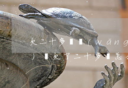 欠二十多萬網(wǎng)貸(網(wǎng)貸欠了二十多萬怎么辦)