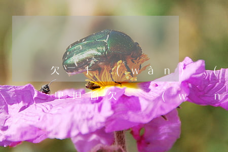 欠二十萬(wàn)網(wǎng)貸跟家里坦白欠債(網(wǎng)貸欠款十萬(wàn)跟家里坦白)