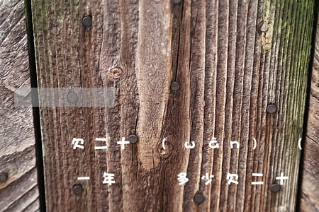 欠二十萬(wàn)網(wǎng)貸逾期一年該還多少(欠二十萬(wàn)網(wǎng)貸逾期一年該還多少)