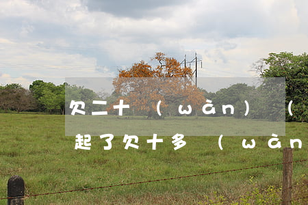 欠二十萬(wàn)網(wǎng)貸還不起了(欠十多萬(wàn)網(wǎng)貸還不起了)