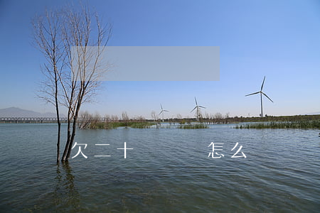 欠二十萬網貸怎么辦(網貸欠了二十多萬怎么辦)