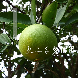 欠二千多信用卡(欠二千多信用卡會怎么樣)