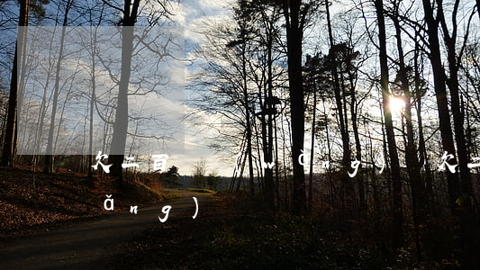 欠二百萬網(wǎng)貸(欠二十萬網(wǎng)貸)