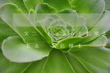 欠二萬(wàn)信用卡不還會(huì)怎么樣(欠信用卡兩萬(wàn)不還有什么后果)