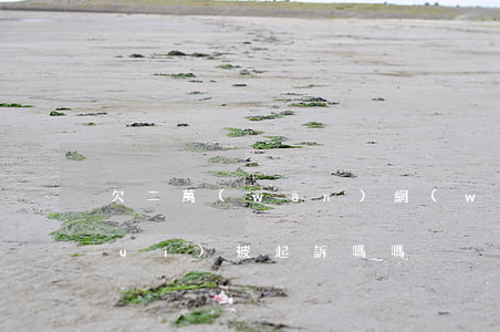 欠二萬(wàn)網(wǎng)貸會(huì)被起訴嗎嗎