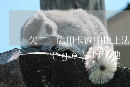 欠二萬信用卡逾期也上法庭嗎(我信用卡逾期幾個(gè)月了他們說要告我上法院)