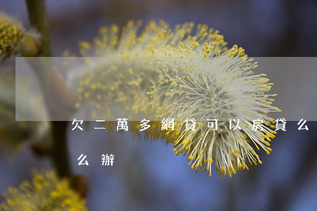 欠二萬多網貸 可以房貸么(欠了網貸二萬多怎么辦)