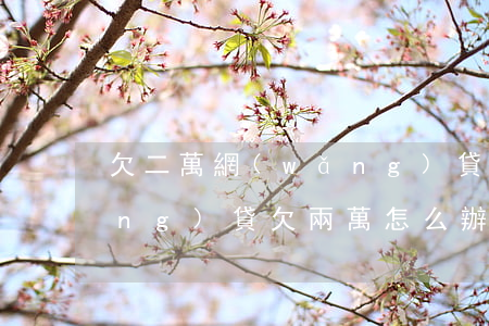 欠二萬網(wǎng)貸該怎么辦(網(wǎng)貸欠兩萬怎么辦)