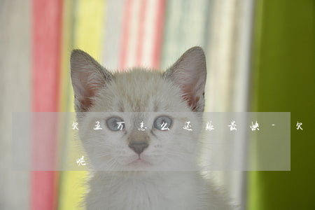 欠五万怎么还账最快-欠五万怎么还账最快呢