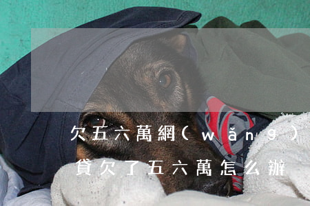 欠五六萬網(wǎng)貸(網(wǎng)貸欠了五六萬怎么辦)