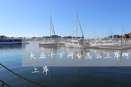 欠五十万网贷怎么上岸啊(欠网贷50万怎么上岸)