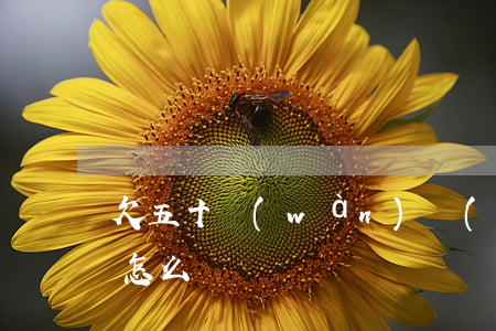 欠五十萬(wàn)網(wǎng)貸逾期怎么辦