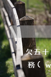 欠五十萬債務(wù)怎么還-欠五十萬債務(wù)怎么還清