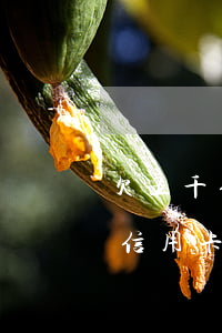 欠五千信用卡还不起会有什么后果-欠五千信用卡还不起会有什么后果吗