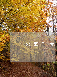 欠五千元網(wǎng)貸怎么辦
