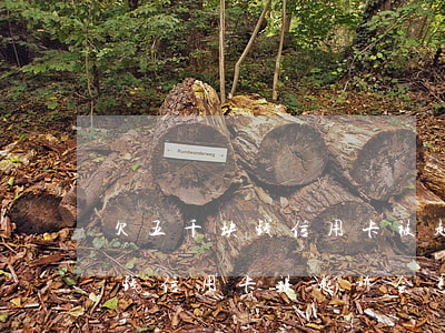欠五千块钱信用卡被起诉会怎样-欠五千块钱信用卡被起诉会怎样处理