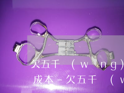 欠五千網(wǎng)貸他們起訴需要多少成本-欠五千網(wǎng)貸他們起訴需要多少成本呢
