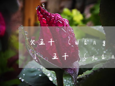 欠五千網(wǎng)貸多嗎(網(wǎng)貸五千嚴(yán)重嗎)