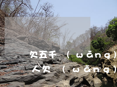 欠五千網(wǎng)貸派出所會不會來抓人(欠網(wǎng)貸公安局會抓人嗎)