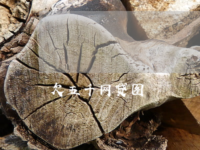 欠五千网贷图