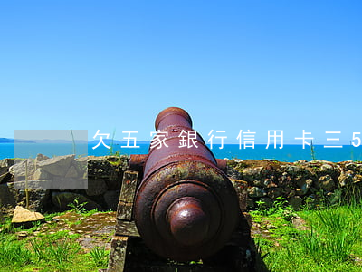 欠五家銀行信用卡三(5張信用卡全部逾期)
