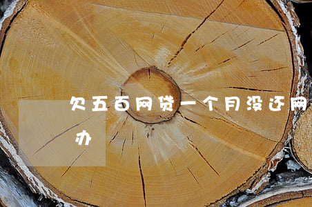 欠五百网贷一个月没还(网贷一千五不还怎么办)