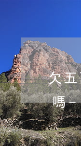 欠五萬(wàn)信用卡會(huì)拍賣嗎-欠5萬(wàn)信用卡會(huì)起訴嗎
