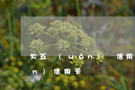 欠五萬(wàn)塊信用卡-欠5萬(wàn)信用卡