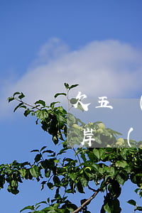 欠五萬(wàn)網(wǎng)貸怎么上岸(網(wǎng)貸5萬(wàn)多怎么上岸)