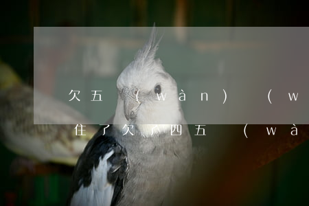 欠五萬(wàn)網(wǎng)貸我承不住了(欠了四五萬(wàn)網(wǎng)貸還不起怎么辦)