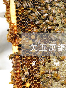 欠五萬網(wǎng)貸家里已經(jīng)幫還一次了-欠五萬網(wǎng)貸家里已經(jīng)幫還一次了怎么辦