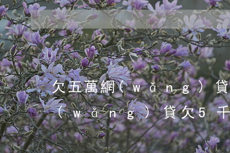 欠五萬網(wǎng)貸會被起訴判刑嗎(網(wǎng)貸欠5千多會起訴嗎)