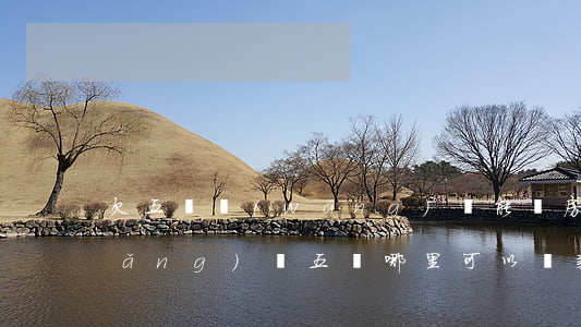 欠五萬網(wǎng)貸能辦房貸么(網(wǎng)貸五萬哪里可以貸款)