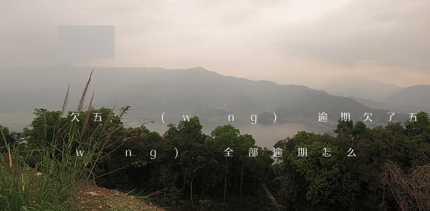 欠五萬網(wǎng)貸逾期(欠了五萬網(wǎng)貸全部逾期怎么辦)