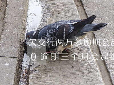 欠交行两万多逾期会起诉吗(交通银行8000逾期三个月会起诉报警吗)