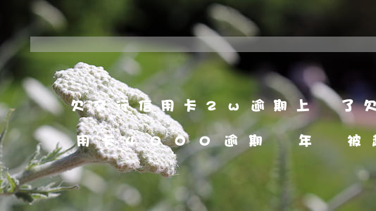 欠交行信用卡2w逾期上門了(欠交通銀行信用卡4000逾期兩年會被起訴嗎)