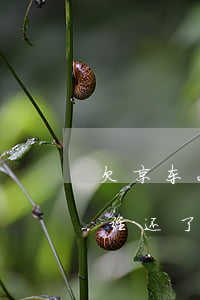 欠京东2万逾期(京东逾期多少天会起诉,我已经还了2000多)