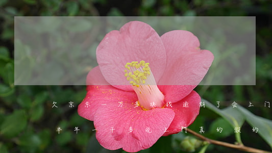 欠京东一万多块钱逾期了会上门吗(京东逾期半年一千多说上门真的假的?)